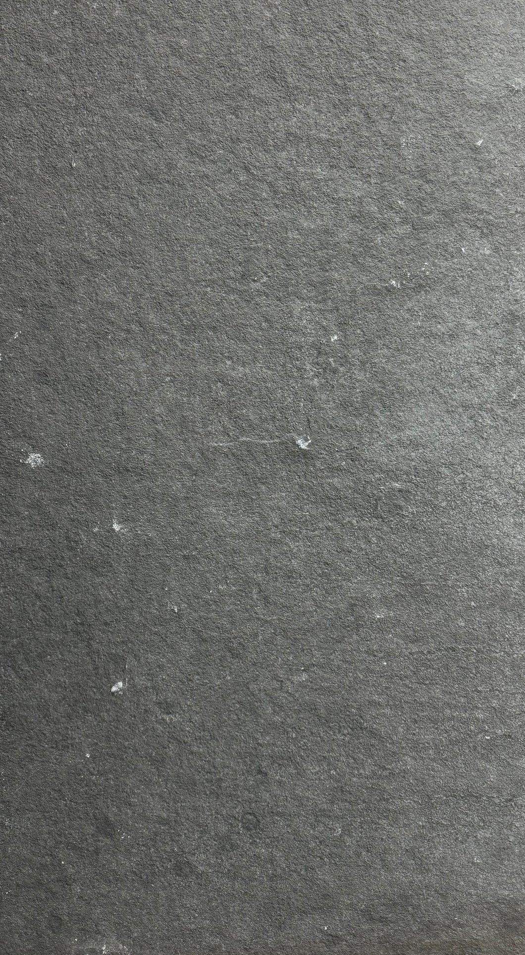 PAVER - 24X48 MYSTIC GRAY NAT 1.25