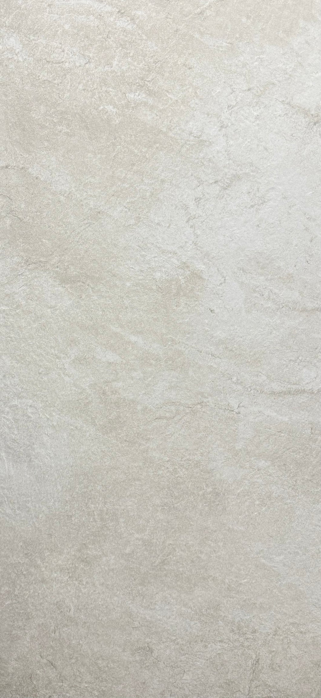 PAVER - 24X48 OCEAN PALMS